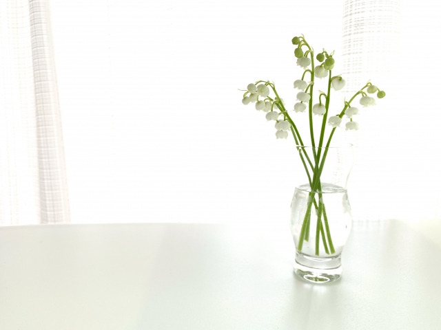 幸せの象徴 すずらん 鈴蘭 の裏花言葉の真相 毒や怖い 結婚式では めりもの深堀りブログ 幸せの象徴 すずらん 鈴蘭 の裏花言葉の真相 毒や怖い 結婚式では めりもの深堀りブログ