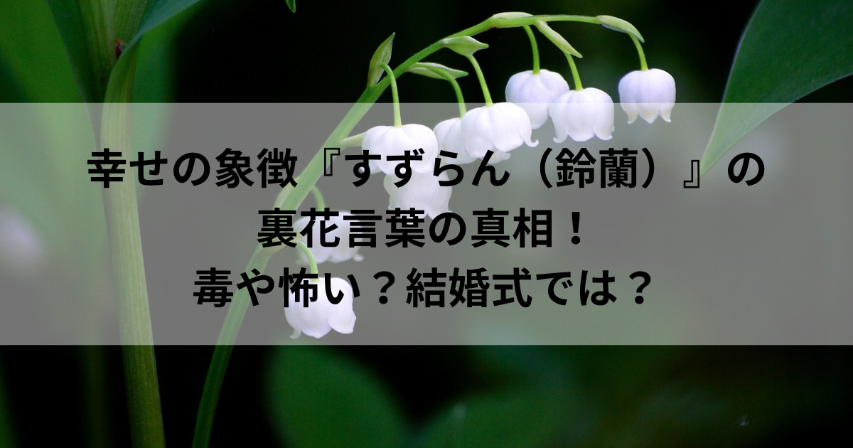 幸せの象徴 すずらん 鈴蘭 の裏花言葉の真相 毒や怖い 結婚式では めりもの深堀りブログ